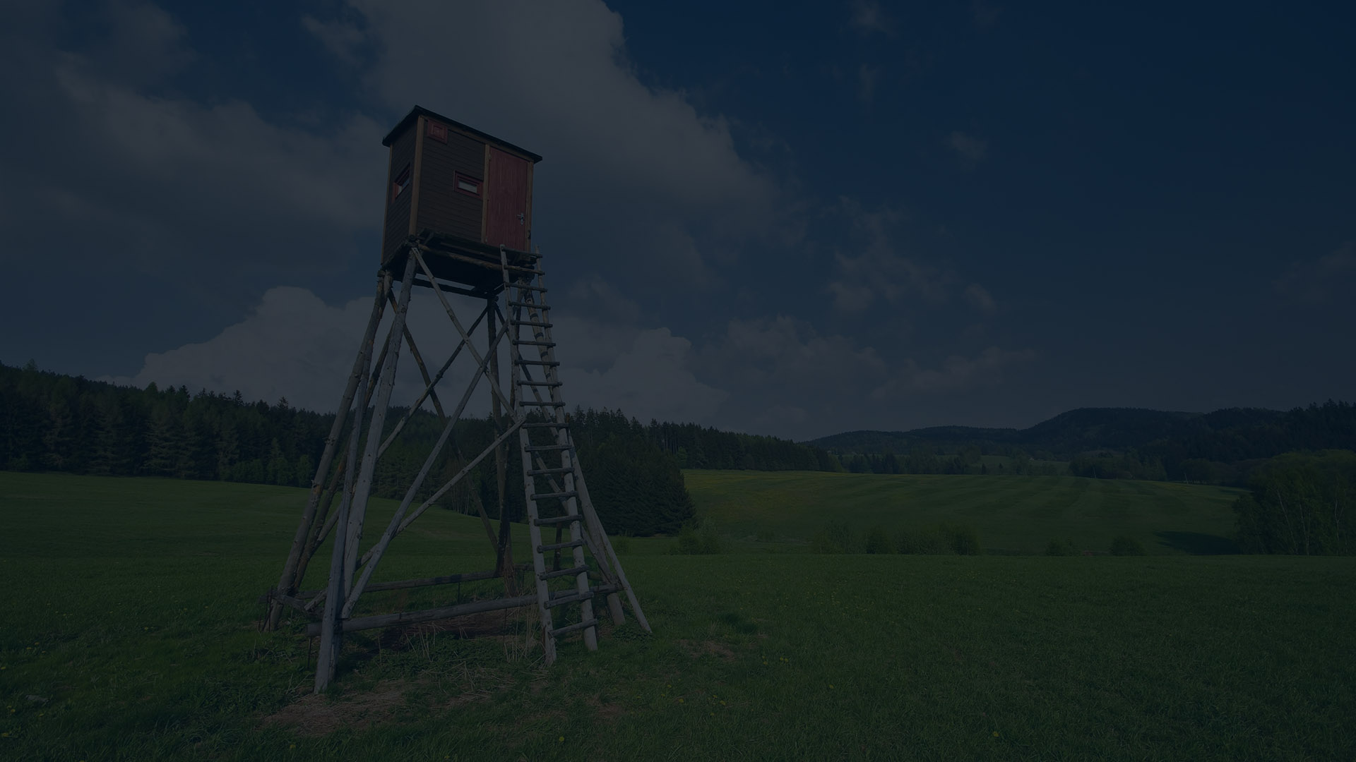 Hunting season in Romania with exclusive bucharest